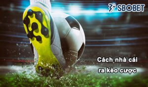 Cách nhà cái ra kèo
