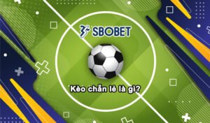 Kèo chẵn lẻ là gì
