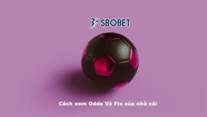 Cách xem Odds Và Fix của nhà cái