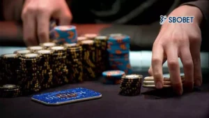 Phương pháp 5% Bankroll trong cá cược quản lý tài chính