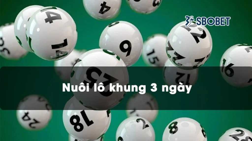 Cách nuôi lô khung hiệu quả cho tân thủ học hỏi