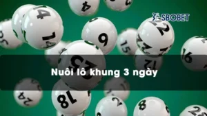 Cách nuôi lô khung hiệu quả cho tân thủ học hỏi